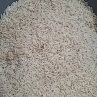 برنج هاشمی درجه یک کشاورز