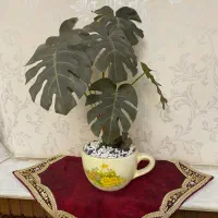 گلدان مصنوعی رومیزی