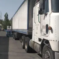 کشنده انترناش ۱۹۸۶