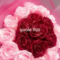 گل روبانی پول آرایی