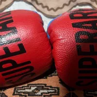 تبل محرم و دستکش بوکس