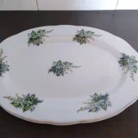 دوعدد دیس چینی