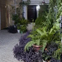 دریاباری صددستگاه ط همکف ۷۰ متر|اجارهٔ آپارتمان|تهران, صد دستگاه|دیوار