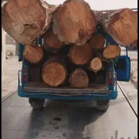 خرید چوب درختان همه نوع چوب سقفی یاهمون دام تیری|خدمات باغبانی و درختکاری|سلطانیه, |دیوار