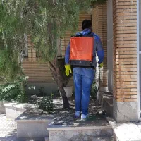 سمپاشی حشرات با کارشناسانی مجرب
