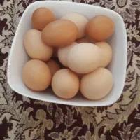 تخم‌مرغ‌محلی