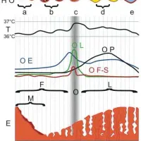 ورکشاپ تخصصی امبدینگ (کاشت نخ) لاغری|خدمات آموزشی|مشهد, جنت|دیوار