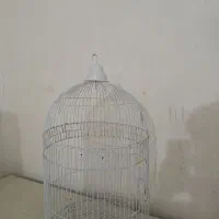 قفس پرندگان مدل گرد