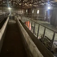 اجاره سالن و سوله|اجارهٔ دفتر صنعتی، کشاورزی، تجاری|سقز, |دیوار