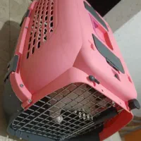 باکس بیرون بر سگ وگربه