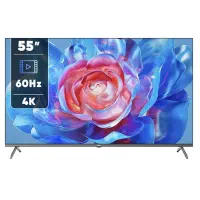 تلوزیون LED 55|تلویزیون و پروژکتور|فردیس, نسترن غربی|دیوار