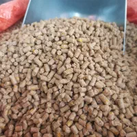 پلیت دان مرغ و بوقلمون گوشتی بهترین کیفیت|لوازم جانبی حیوانات|سنندج, |دیوار