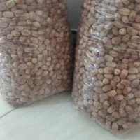 خرمای زاهدی.قصب