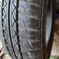 لاسیتک تیبا
