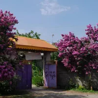 ویلا فروشی در ناصران شفت|فروش خانه و ویلا|شفت, |دیوار