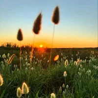 کلاس های تخصصی لیسانس به پزشکی