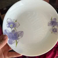 سرویس۶نفره