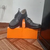 کفش چرم مردانه سایز ۴۲|کیف، کفش، کمربند|فسا, |دیوار