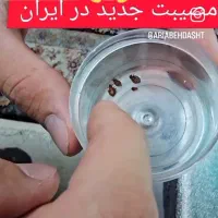 پاک سازی حشرات و ریشه کنی ساس