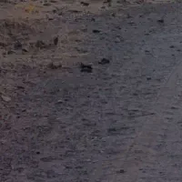 ملک تجاری با موقعیت بسیار خوب