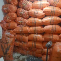 زیر گوشی پر|رختخواب، بالش، پتو|کوهدشت, |دیوار