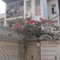 ۲۵۲ متر زمین با قدرالسهم بالا / ۱۲۵ متر واحد
