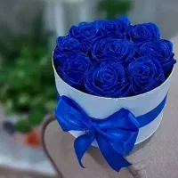 شیک کادو بده|ساعت|رشت, حاجی آباد|دیوار