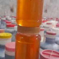 عسل (عمده)|عمده‌فروشی|تهران, سلسبیل شمالی|دیوار