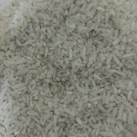 برنج هاشمی باب منزل