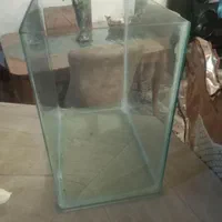 آکواریوم شیشه خم شرکتی با وسایل