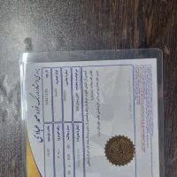 ماکسیما|خودرو سواری و وانت|تهران, ارم|دیوار