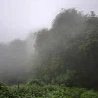 اجاره ویلا جنگلی فیلبند چلاو دریا ابر