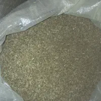 زیره سبز دیمی|عمده‌فروشی|شراء, |دیوار