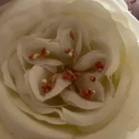 سرمایه آزاد