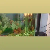 اکواریوم کامل