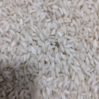 برنج سالم ونیم دانه محلی صدری صحنه