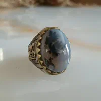 انگشتر شجر تک درخت