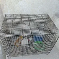قفس درحد نو برای جفت اندازی قناری و عروس هلندی