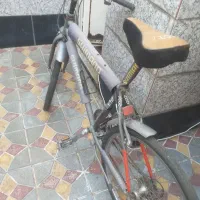 دوچرخه اساک دماوند نوک مدادی اصل