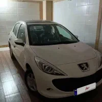 207 پانا خشک ۴۰۵