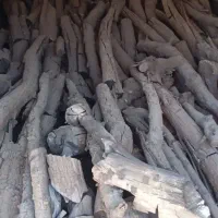 ذغال کبابی|عمدهفروشی|ارزوئیه, |دیوار