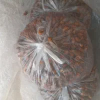 جیرجیرو تازه