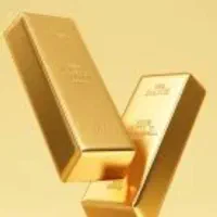 یک قطعه طلا پیدا شده