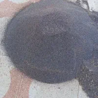 بذر گوجه ای|خدمات باغبانی و درختکاری|کوهدشت, |دیوار