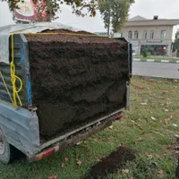 خاک برگ پوسیده|خدمات باغبانی و درختکاری|رشت, دباغیان|دیوار