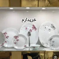 آرکوپال دسینی|ظروف سرو و پذیرایی|قم, نیروگاه|دیوار