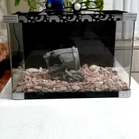 آکواریوم ماهی با لوازم کامل در حد نو