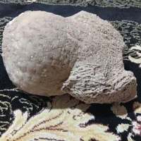 سنگ قیمتی کوارتز نباتی سفید|جواهرات|تهران, تختی|دیوار