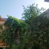 منزل مسکونی قابل سکونت دارای انشعاب  درشهر نرجه|فروش زمین و ملک کلنگی|تاکستان, |دیوار