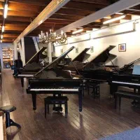 فروش انواع پیانو (آکوستیک،دیجیتال) با بهترین قیمت